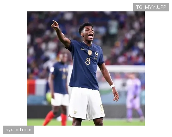 楚阿梅尼状态回暖，强势崛起成赛事影响力新标杆