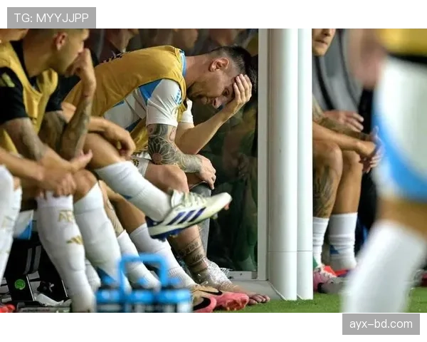 美洲杯事件最新进展